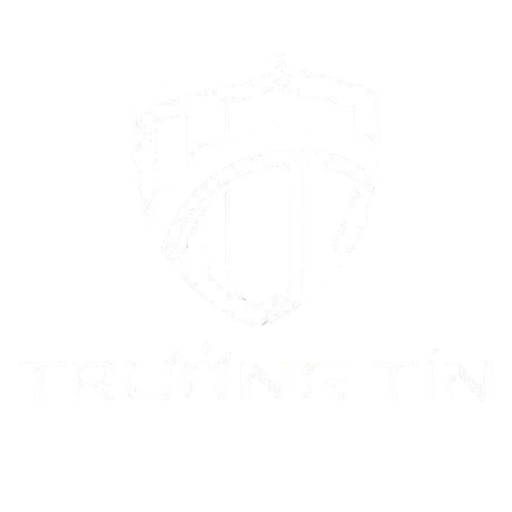 truongtincorp.vn